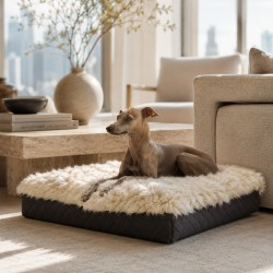 Letto per cani in memory foam in vera pelle di pecora. Letto ortopedico per cani a pelo lungo, taglia media, colore ostrica.
