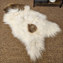 Tapis en Peau de Mouton Ivoire Blanc Pur | Tapis en Peau de Mouton Islandais Blanc Naturel