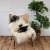 Ivory White Pure Sheepskin Vloerkleed | Natuurlijk Wit IJslands Schapenvacht Vloerkleed