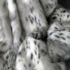 Grey Lynx Faux Fur Throw