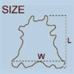 Grote Natuurlijke Koeienhuid | Bruin & Wit Koeienhuid Tapijt | Bruin Haar op Huid