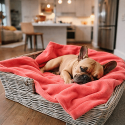 Coperta per Cani in Coral Fleece | Coperta per Animali Domestici in Pile Rosa | Coperta per Cani in Pile