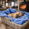 Coperta per Animali in Pile Blu Cielo | Coperte per Animali in Pile | Coperte per Cani Blu
