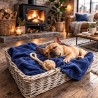 Coperta per Cani in Pile Blu Petrolio | Coperta per Cani in Pile | Coperta per Animali Blu